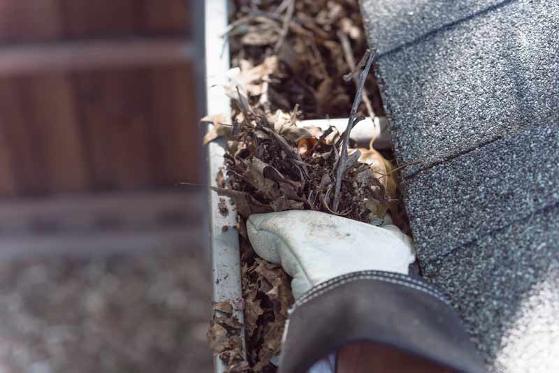 Gutter Cleaning Nice Clean